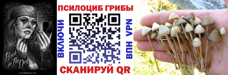 ссылка на мегу зеркало магазин продажи Перевоз Псилоцибиновые грибы мицелий
